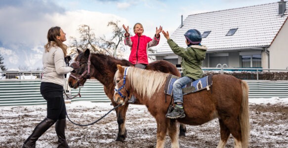 Ponygruppen