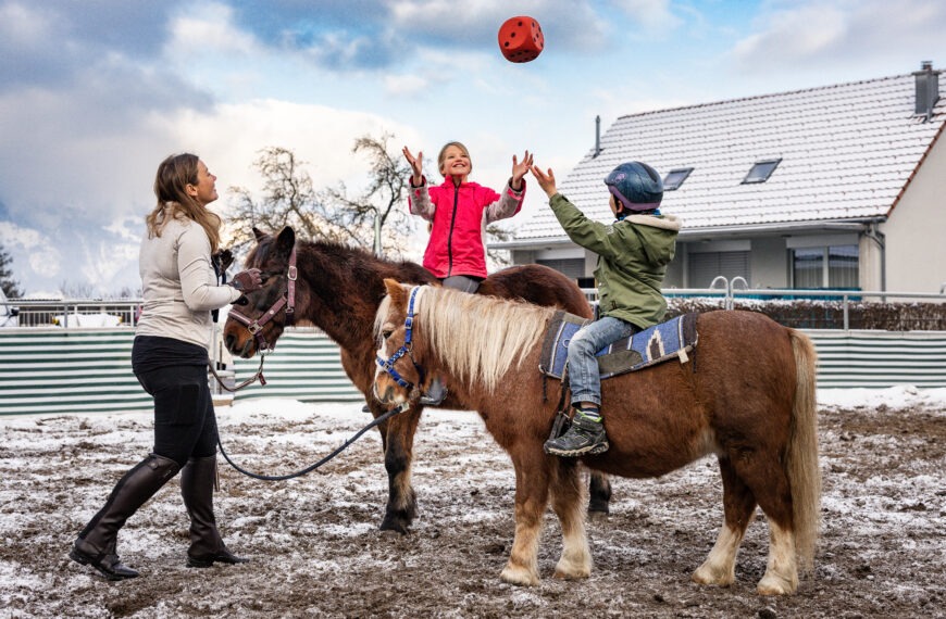 Ponygruppen