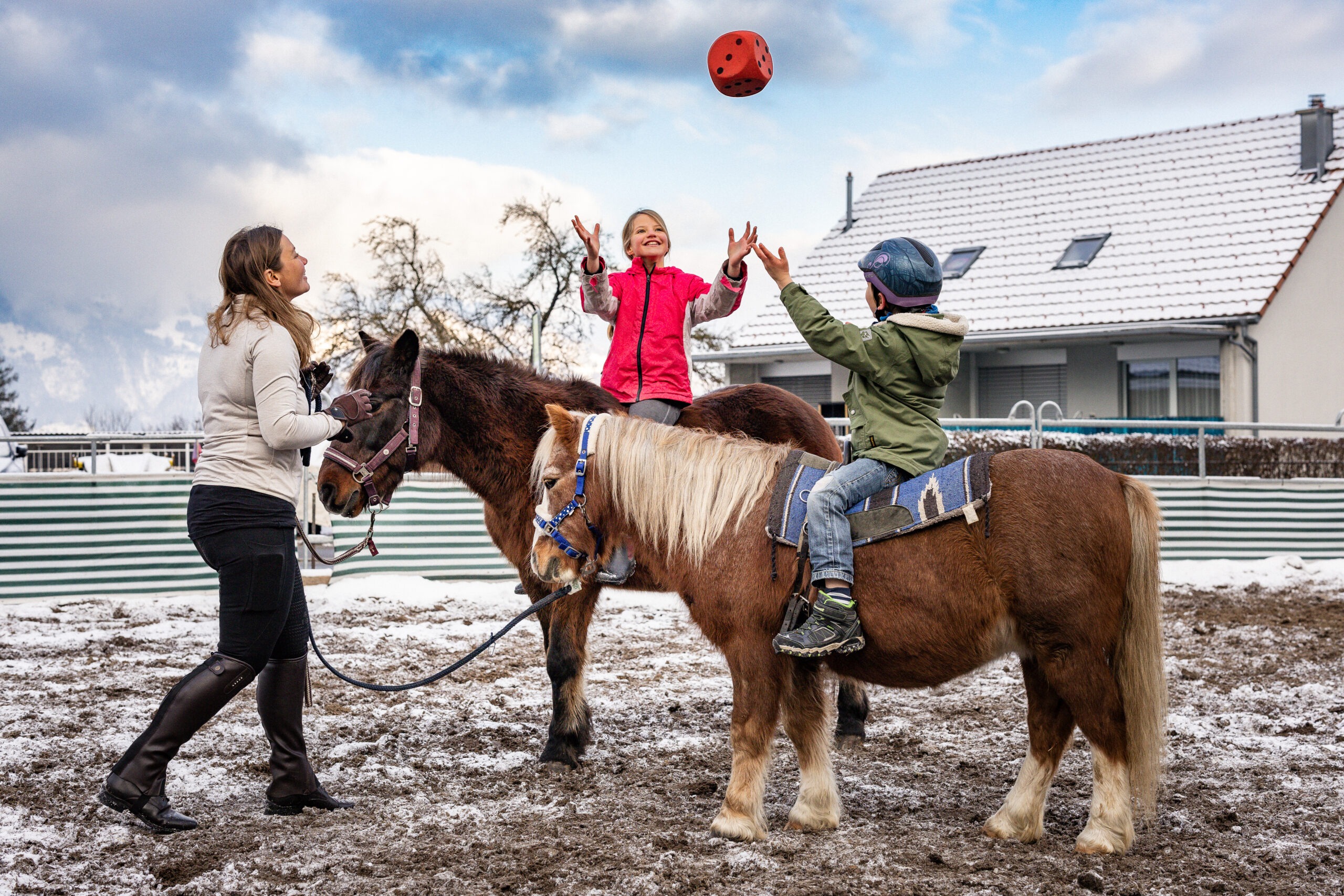 Ponygruppen